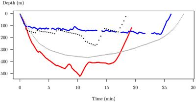 Diving Behavior of Mirounga leonina: A Functional Data Analysis Approach